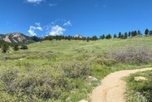 South Mesa Trail Towhee Trail