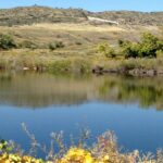 Audubon Center pond