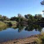 Audubon Center pond