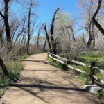 Bobolink Trailhead trail