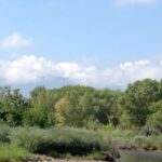 Chatfield State Park South Platte River