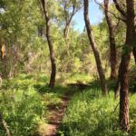 Chatfield State Park trail