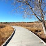 Boardwalk at Eastlake