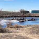 Gravel Lakes along the river