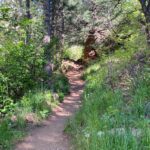 Gregory Canyon Trail