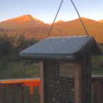 Bird feeder at Lawrence Family Ranch