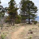 Trail at Legion Park