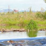 Lowell Ponds Clear Creek