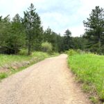 Lower Bear Canyon Trail