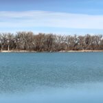 Lake and grove in distance