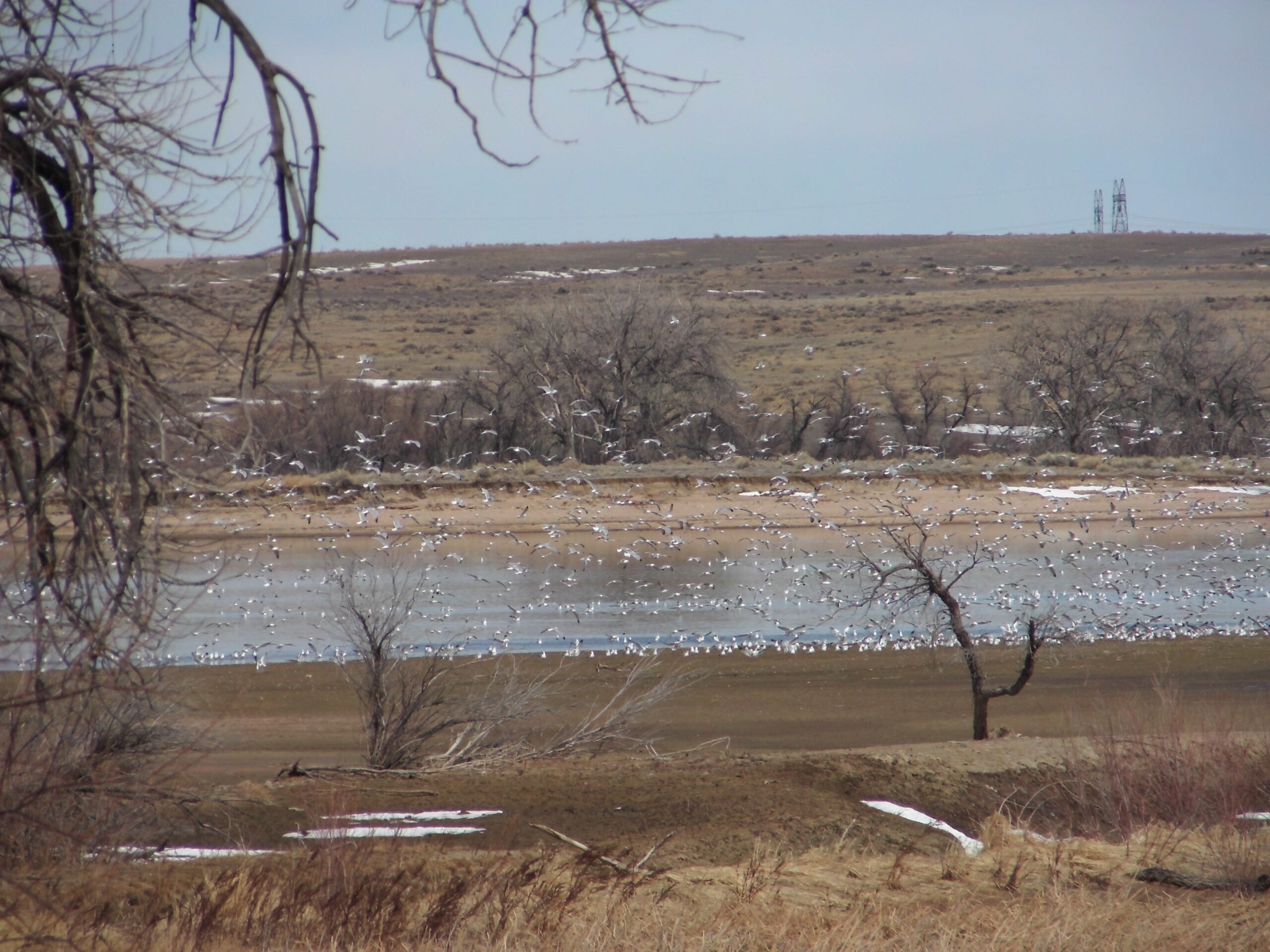 Black Hollow Reservoir, view from southwest corner near road.