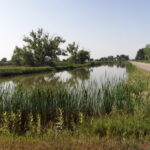 Drake Lake east pond