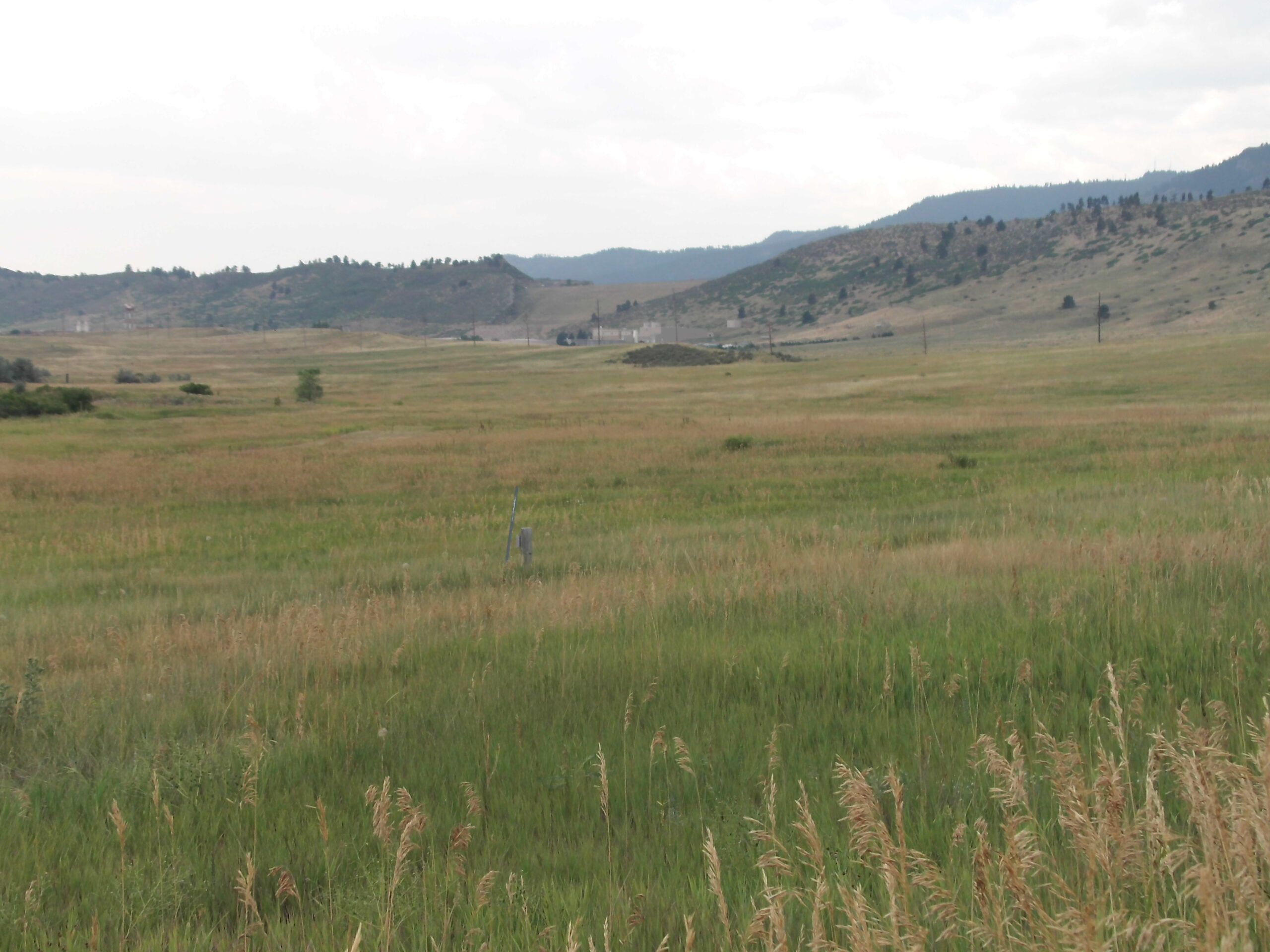 Reservoir Ridge Natural Area