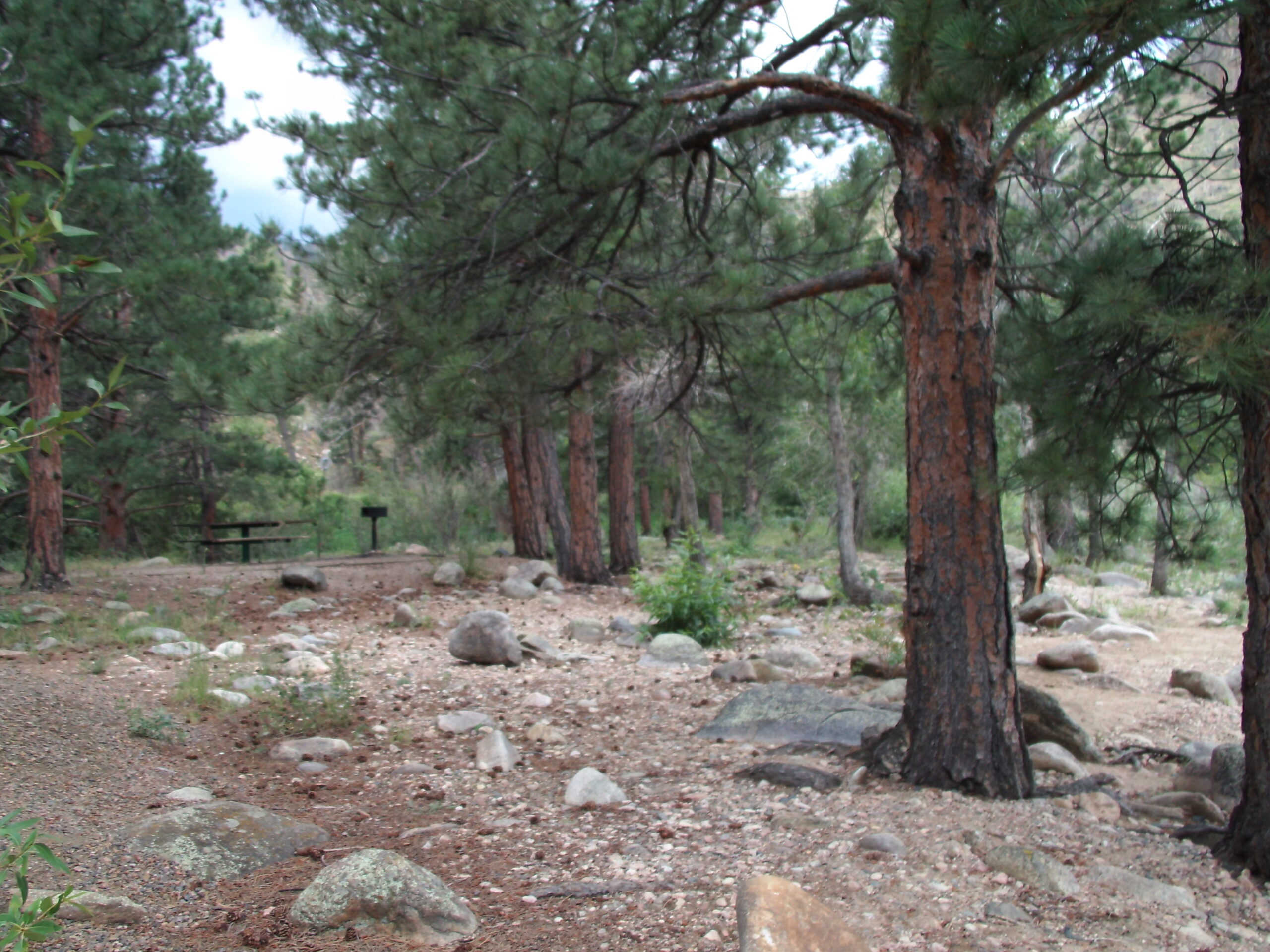 Lower Poudre Canyon