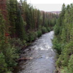 Cameron Pass and Upper Poudre Canyon