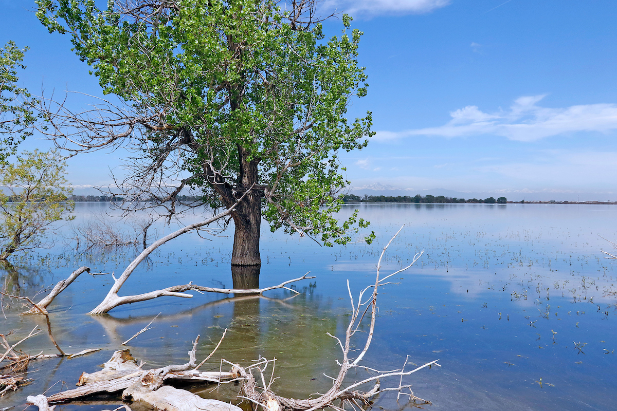 Barr Lake State Park