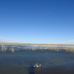 Neeskah Reservoir (Queens State Wildlife Area)