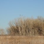 Thurston Reservoir State Wildlife Area