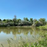 Standley Lake small pond on east side