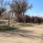 Trail by Teller Lake