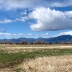 Fields around Teller Lake