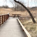 Boardwalk at Cottonwood Marsh