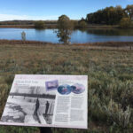 Dodd Reservoir