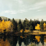 Lawrence Family Ranch - There is a rustic cabin near the edge of this pond.