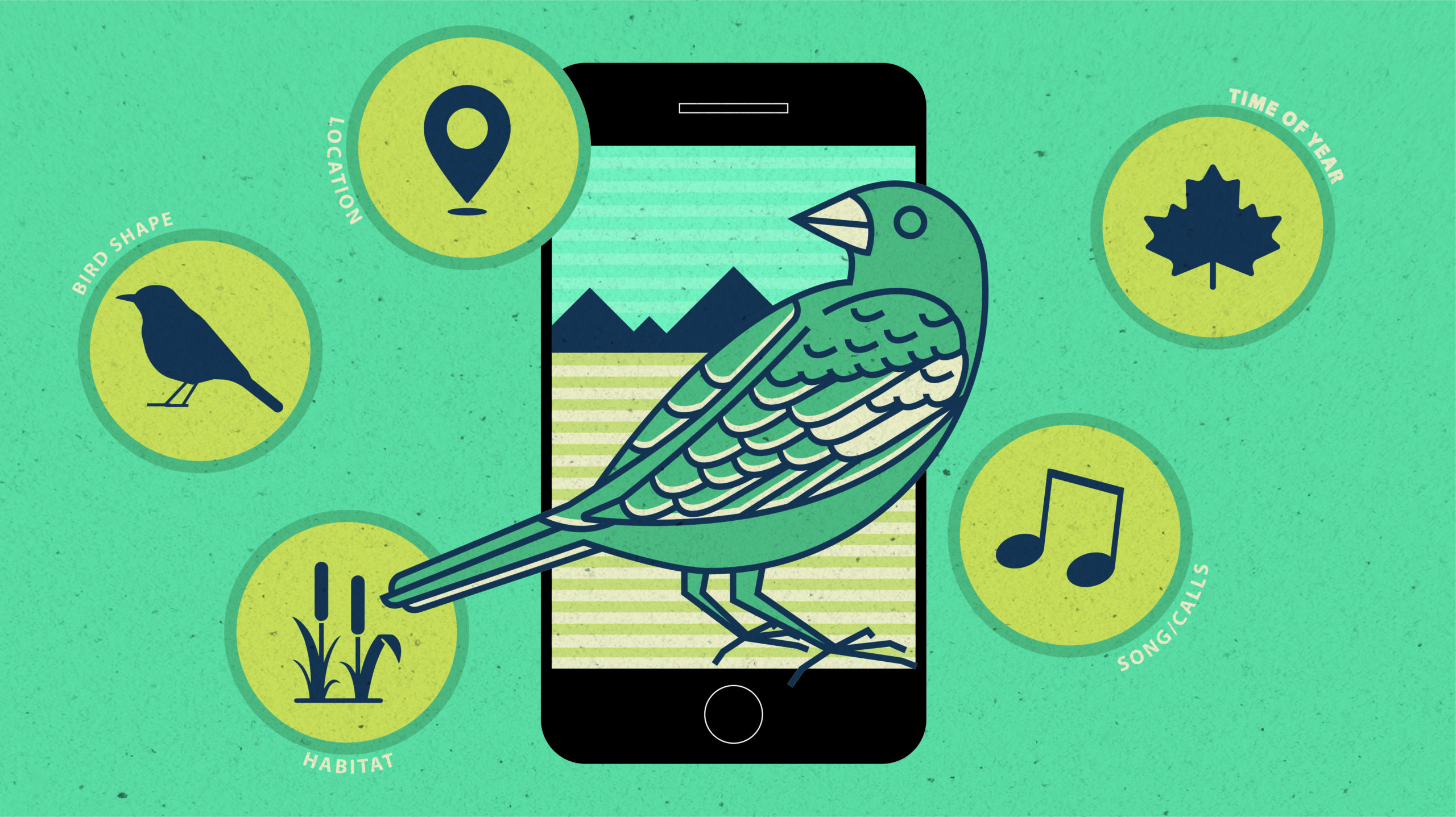 Birding Apps poster