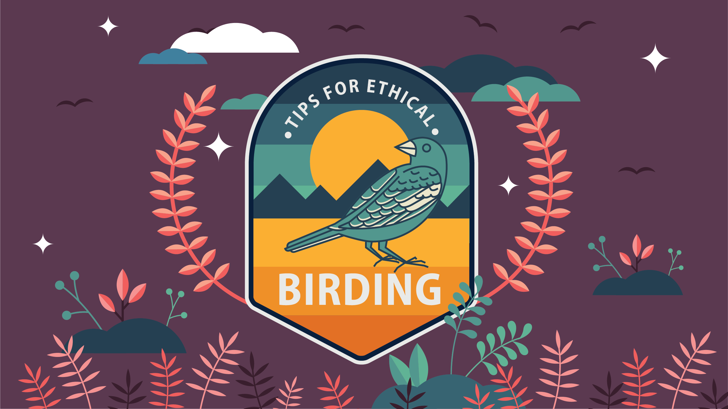 Tips for Ethical Birding poster