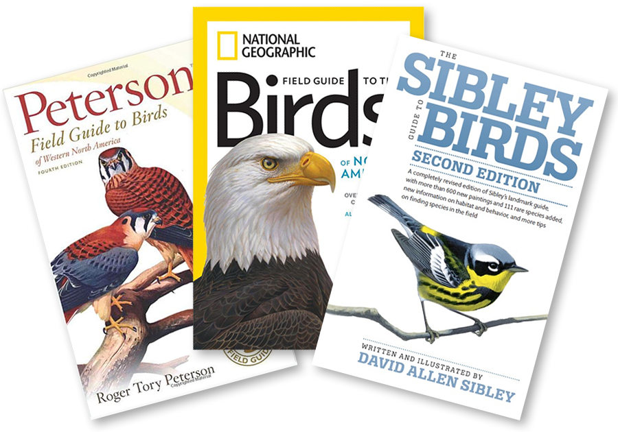 Bird identification books