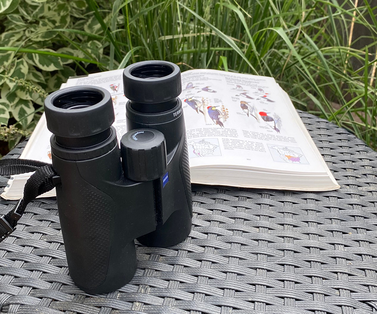 Binoculars and field guide